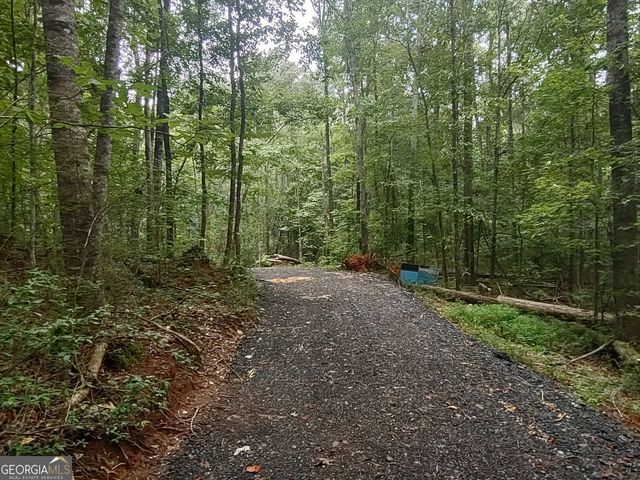 7001 Coatsworth Drive LOT 1, Stockbridge, GA 30281