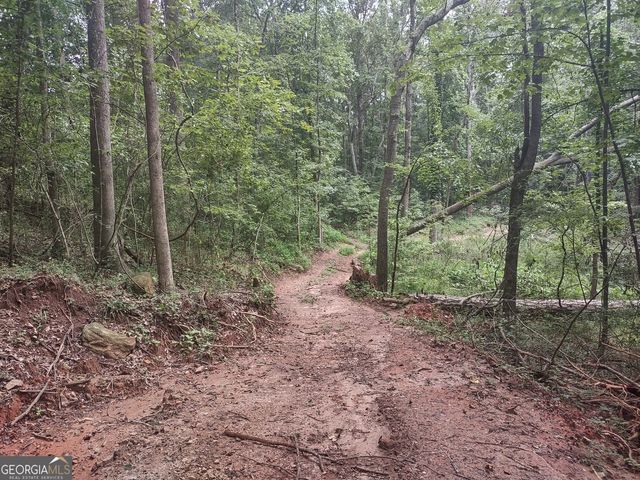 7001 Coatsworth Drive LOT 1, Stockbridge, GA 30281