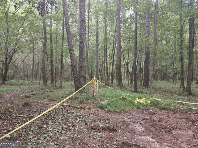 7001 Coatsworth Drive LOT 1, Stockbridge, GA 30281