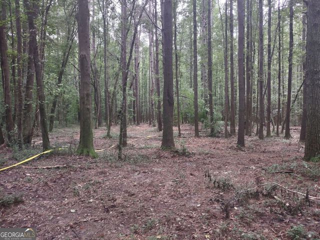 7001 Coatsworth Drive LOT 1, Stockbridge, GA 30281