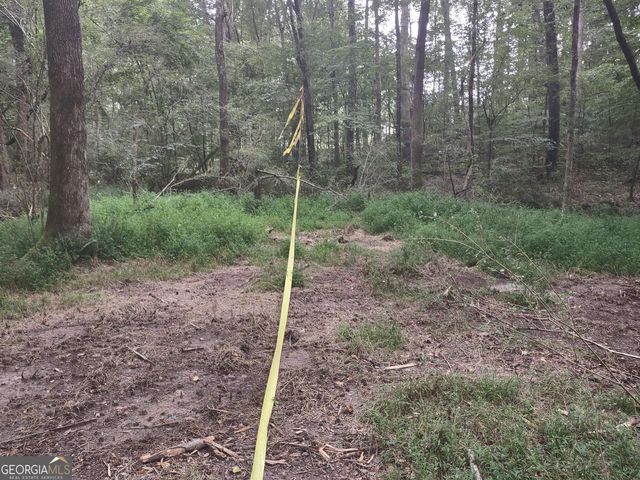7001 Coatsworth Drive LOT 1, Stockbridge, GA 30281
