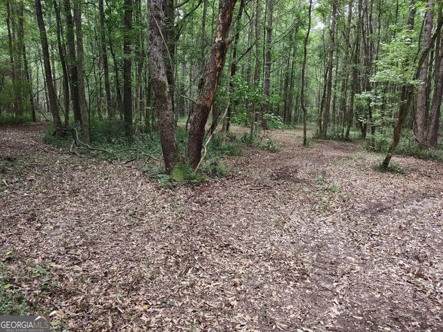 7001 Coatsworth Drive LOT 1, Stockbridge, GA 30281