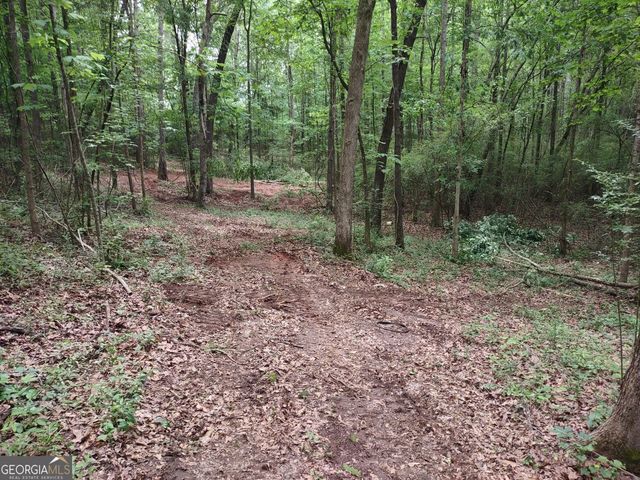 7001 Coatsworth Drive LOT 1, Stockbridge, GA 30281