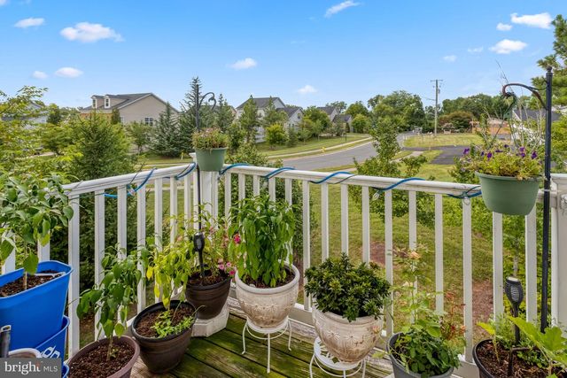 8173 FALLS GROVE DR, Manassas, VA 20111
