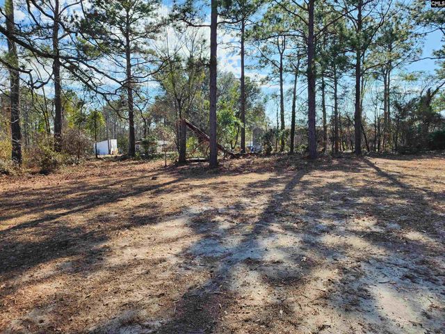 185 S Wrenwood Drive, Lexington, SC 29073