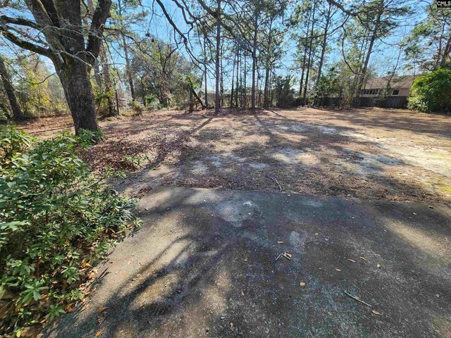 185 S Wrenwood Drive, Lexington, SC 29073
