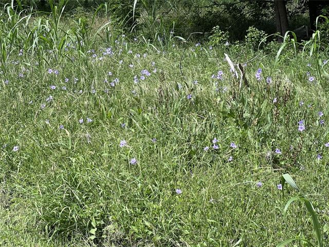 10001 Peterson RD, Del Valle, TX 78617