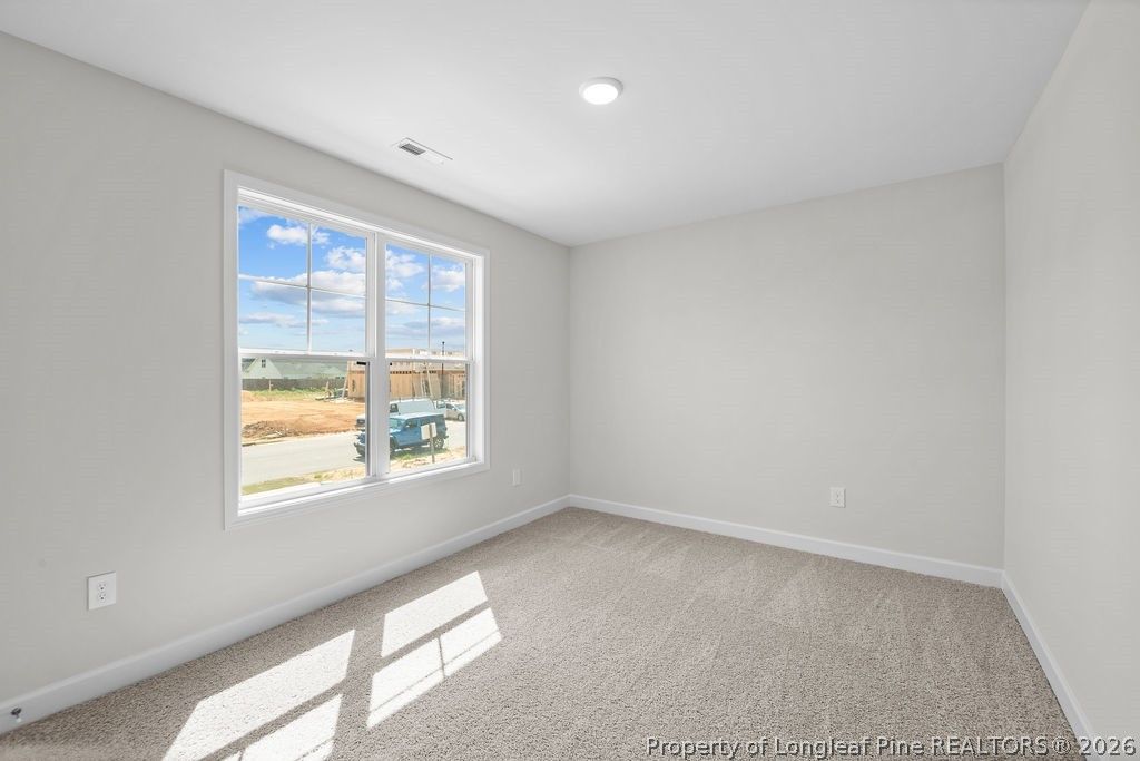 404 Brickendon (Lot 291) Lane, Raeford, NC 28376 — photo 22
