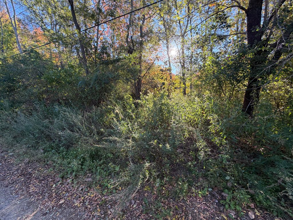 73 Gertrude Avenue, Portland, ME 04103 — photo 3