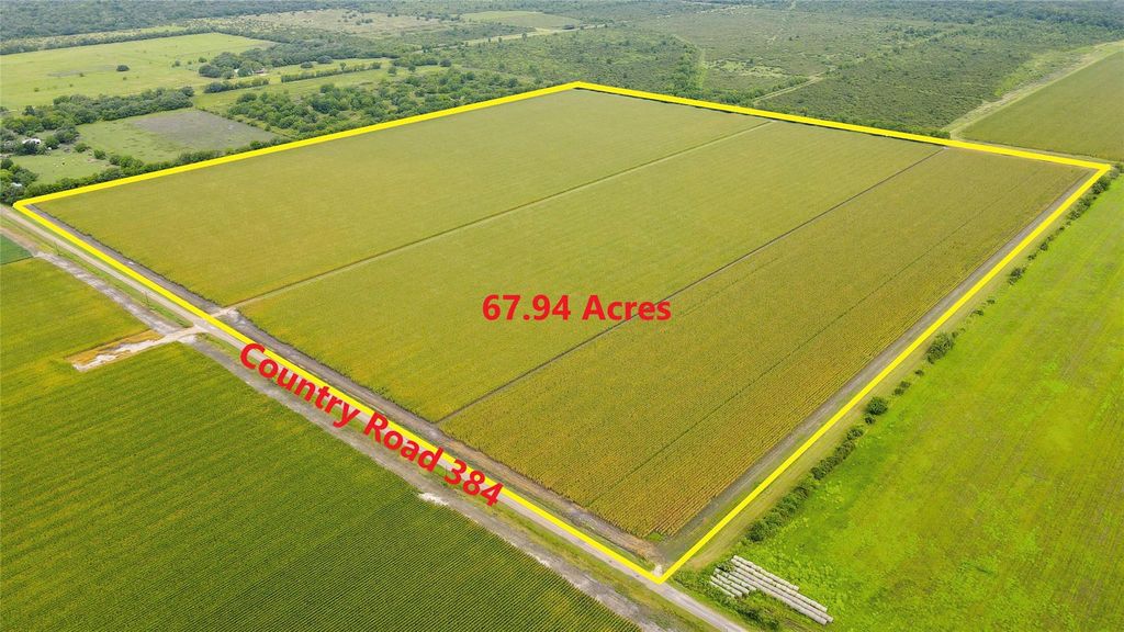 000 County Road 384, Louise, TX 77455