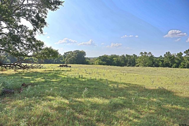 20688 County Road 178, Flint, TX 75762