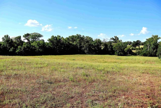 20688 County Road 178, Flint, TX 75762