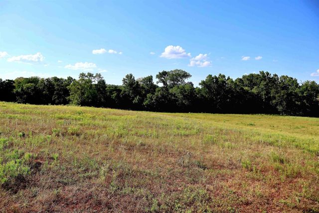 20688 County Road 178, Flint, TX 75762