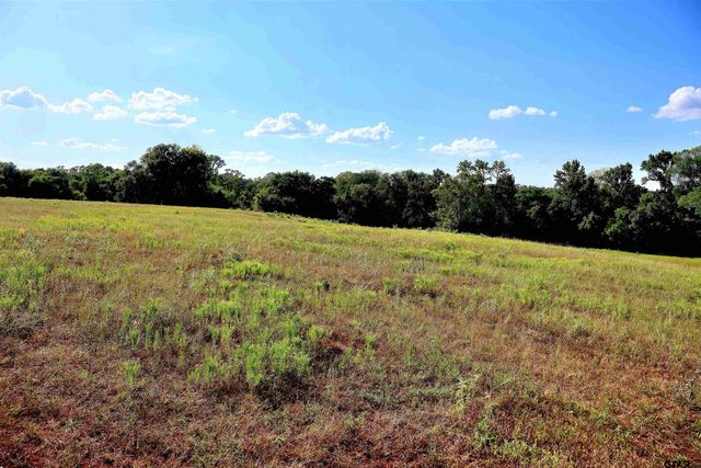 20688 County Road 178, Flint, TX 75762