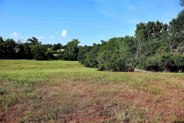 20688 County Road 178, Flint, TX 75762