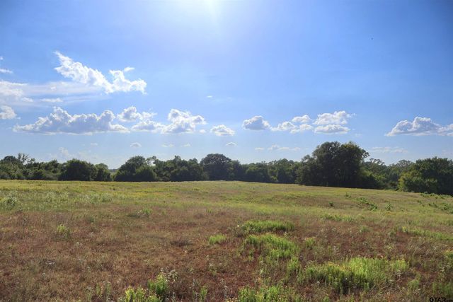 20688 County Road 178, Flint, TX 75762