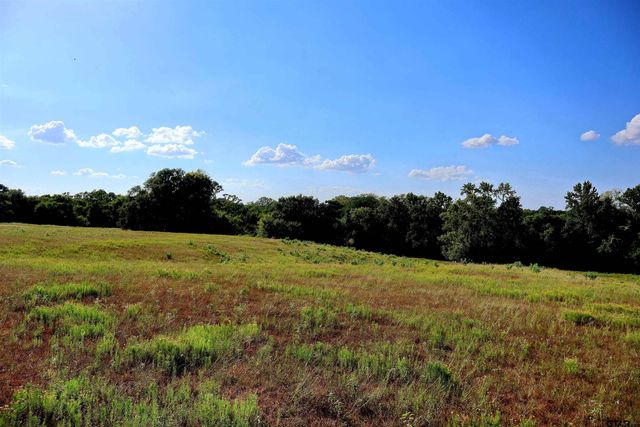 20688 County Road 178, Flint, TX 75762