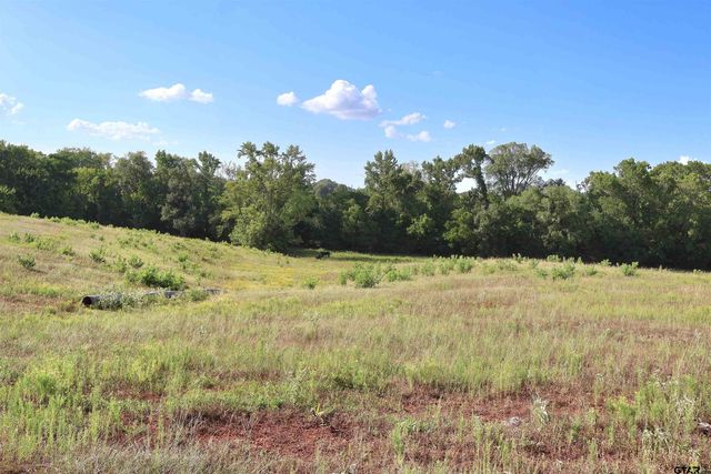 20688 County Road 178, Flint, TX 75762