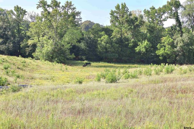 20688 County Road 178, Flint, TX 75762