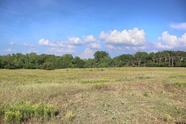 20688 County Road 178, Flint, TX 75762