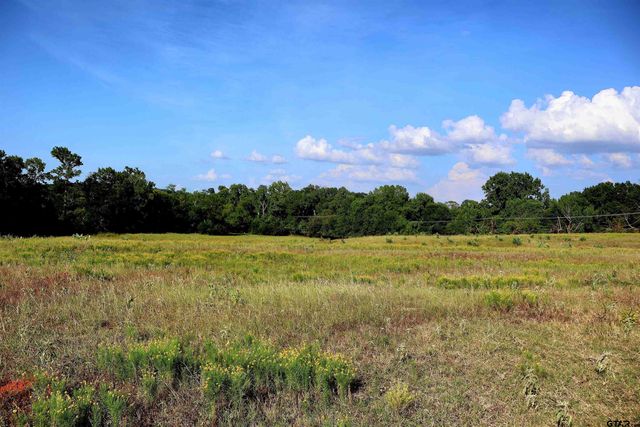 20688 County Road 178, Flint, TX 75762