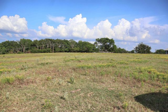 20688 County Road 178, Flint, TX 75762