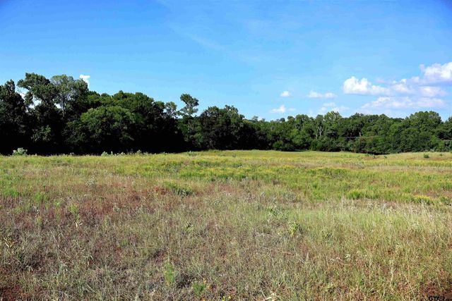 20688 County Road 178, Flint, TX 75762