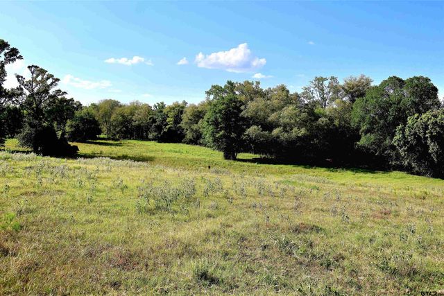 20688 County Road 178, Flint, TX 75762