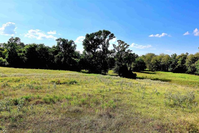 20688 County Road 178, Flint, TX 75762