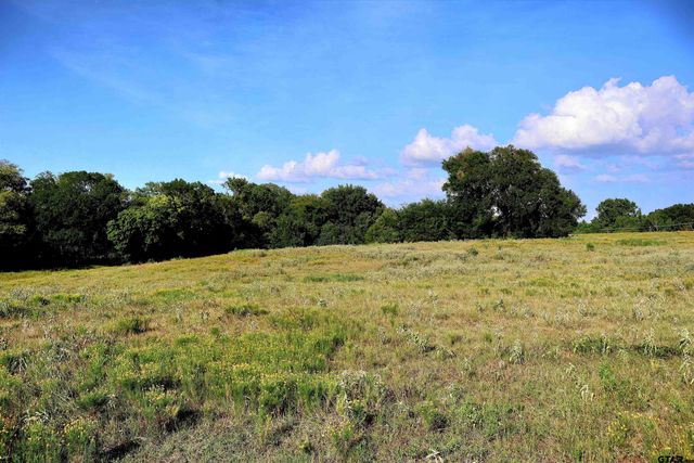 20688 County Road 178, Flint, TX 75762
