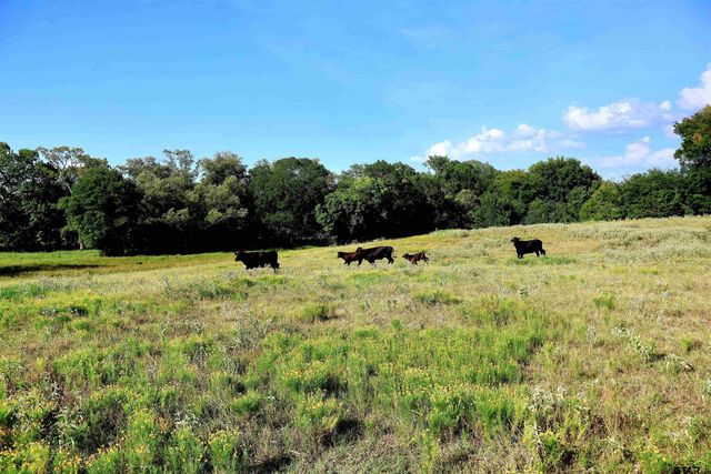 20688 County Road 178, Flint, TX 75762