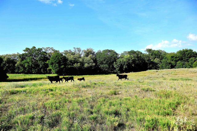 20688 County Road 178, Flint, TX 75762