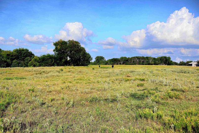 20688 County Road 178, Flint, TX 75762