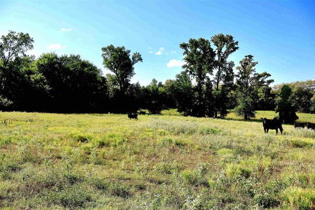 20688 County Road 178, Flint, TX 75762