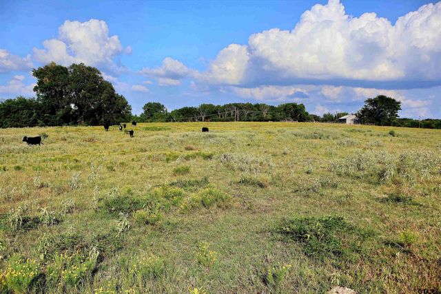 20688 County Road 178, Flint, TX 75762