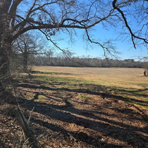 20688 County Road 178, Flint, TX 75762
