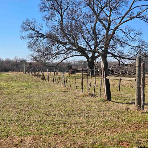 20688 County Road 178, Flint, TX 75762