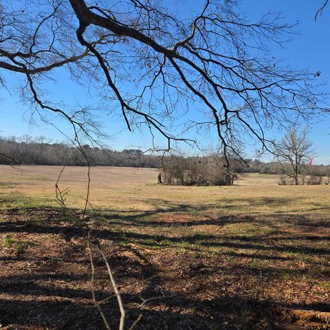 20688 County Road 178, Flint, TX 75762