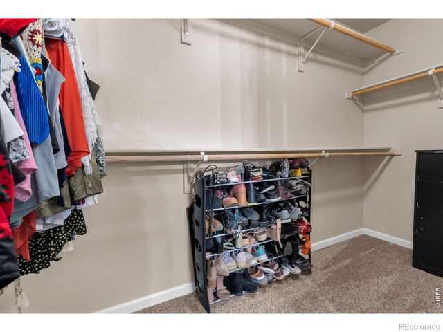 3120 Swan Point Drive, Evans, CO 80620