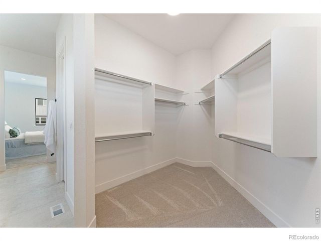 864 Doubleleaf Drive, Windsor, CO 80550