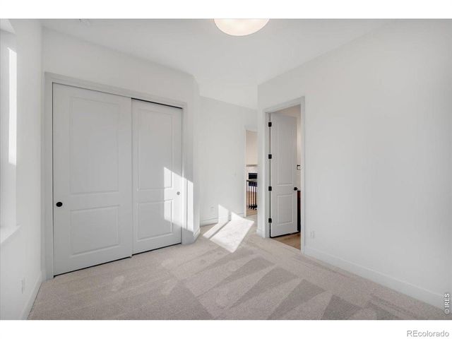 864 Doubleleaf Drive, Windsor, CO 80550