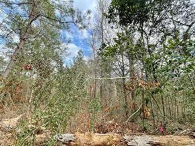 414 County Road 3416, Cleveland, TX 77327