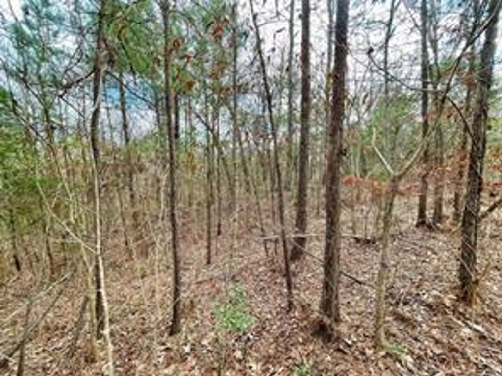 414 County Road 3416, Cleveland, TX 77327