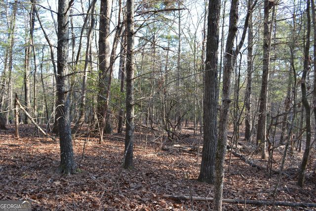 0 Mill Creek Trail, Cleveland, GA 30528