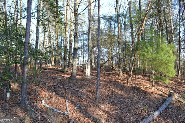 0 Mill Creek Trail, Cleveland, GA 30528
