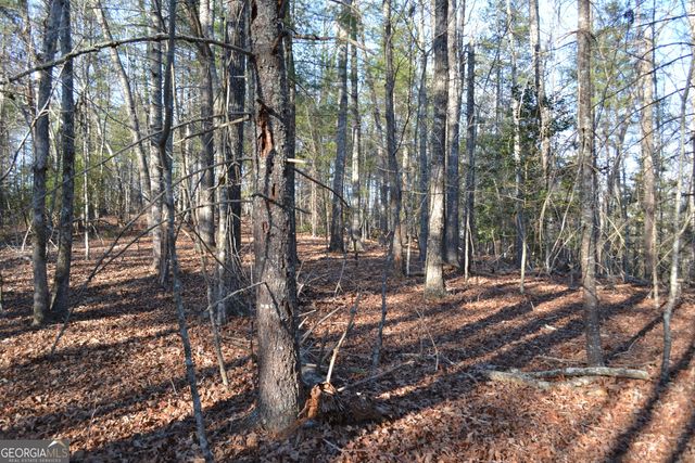 0 Mill Creek Trail, Cleveland, GA 30528