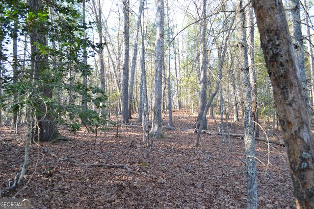 0 Mill Creek Trail, Cleveland, GA 30528