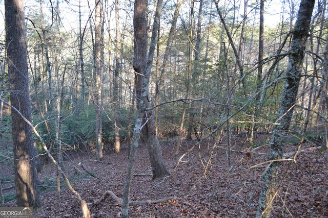 0 Mill Creek Trail, Cleveland, GA 30528