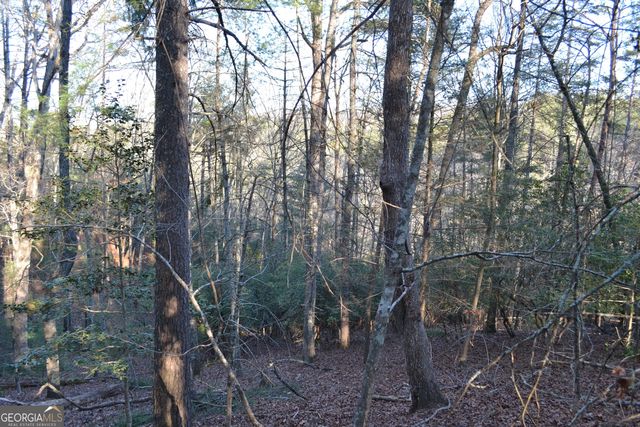 0 Mill Creek Trail, Cleveland, GA 30528