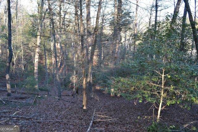 0 Mill Creek Trail, Cleveland, GA 30528